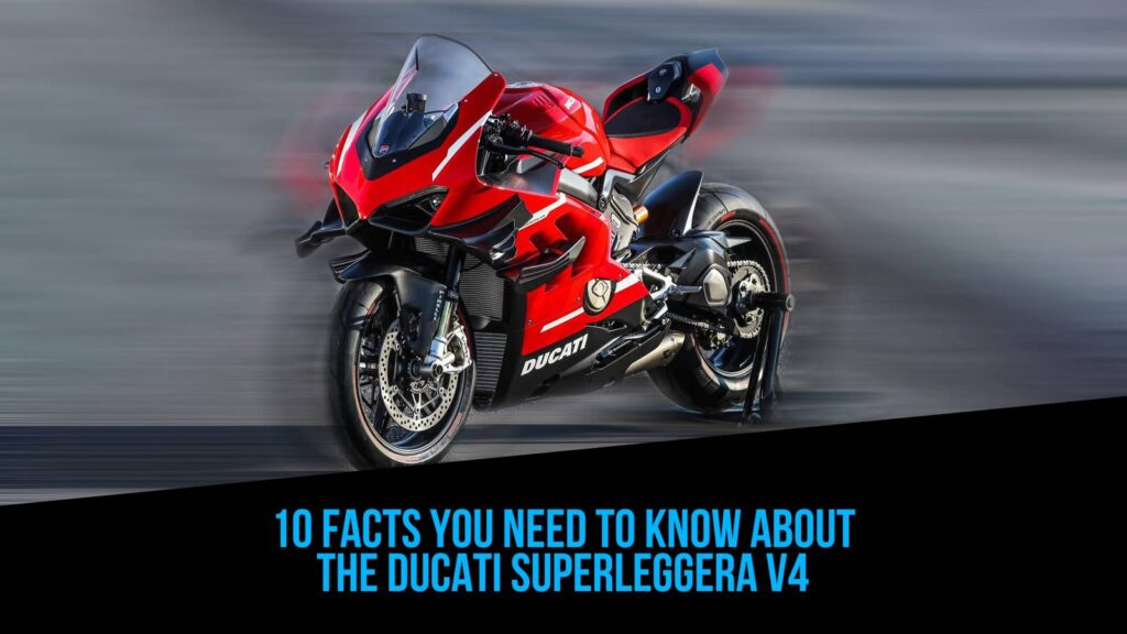 10 Facts You Need To Know